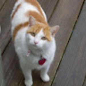 Meet your Posher, Emily kate